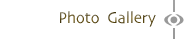 Photo Gallery